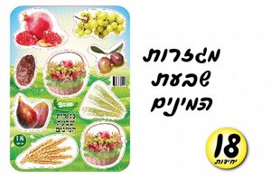 מגזרות שבעת המינים צבעוני מגזרות שבעת המינים צבעוני