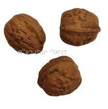 3 אגוזים פלסטיק 3 אגוזים פלסטיק