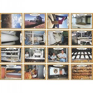 ערכת תמונות לחם גודל A5 ערכת תמונות לחם גודל A5